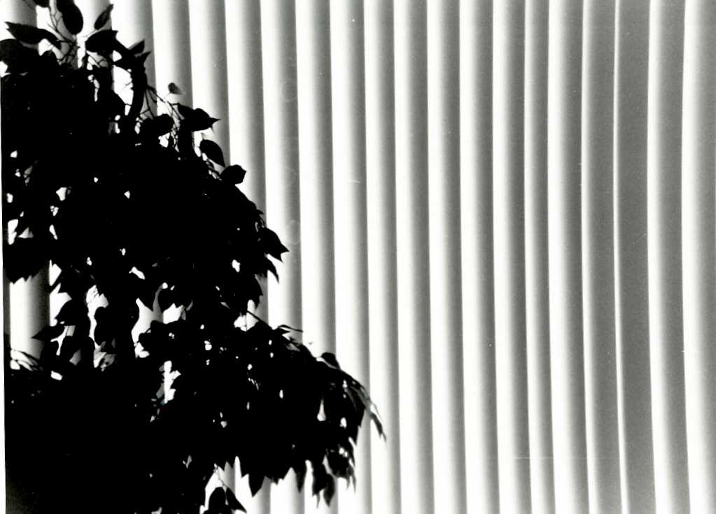 simple blinds